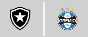 Botafogo de Futebol e Regatas vs Grêmio Porto Alegrense