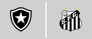 Botafogo de Futebol e Regatas vs Santos F.C.