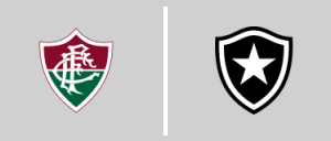 Fluminense FC vs Botafogo de Futebol e Regatas